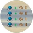 Filtrul cu granule de carbon absoarbe clorul, materia organică, mirosurile, coloraţia şi alte substanţe din apă.