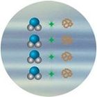 Particulele de dimensiuni mai mici, precum materiile solide în suspensie şi cele coloidale sunt eliminate de filtrul PP de 1 mm.