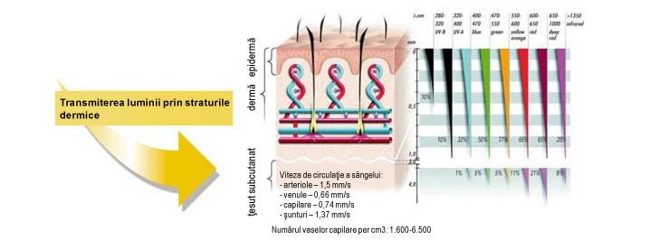 Lumina BIOPTRON are efecte biostimulatoare: când se aplică pe piele, stimulează structurile intracelulare şi moleculele fotosensibile